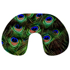 Peacock Feathers Plumage Iridescent Travel Neck Pillow by HermanTelo