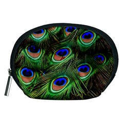 Peacock Feathers Plumage Iridescent Accessory Pouch (medium) by HermanTelo