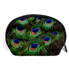 Peacock Feathers Plumage Iridescent Accessory Pouch (large)