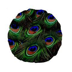 Peacock Feathers Plumage Iridescent Standard 15  Premium Flano Round Cushions by HermanTelo