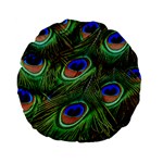 Peacock Feathers Plumage Iridescent Standard 15  Premium Flano Round Cushions Front