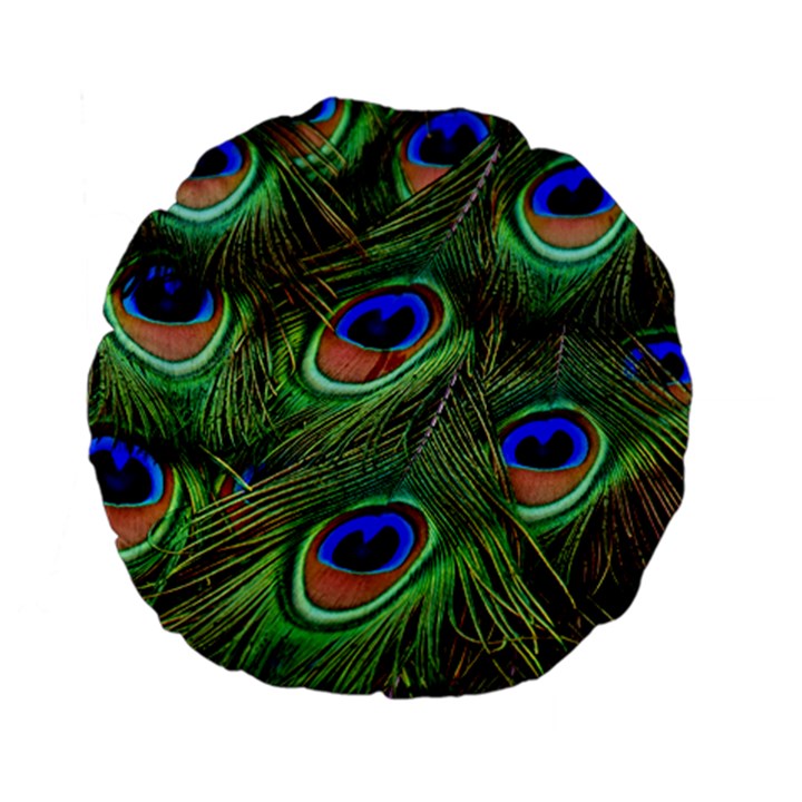 Peacock Feathers Plumage Iridescent Standard 15  Premium Flano Round Cushions