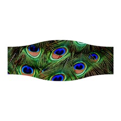 Peacock Feathers Plumage Iridescent Stretchable Headband