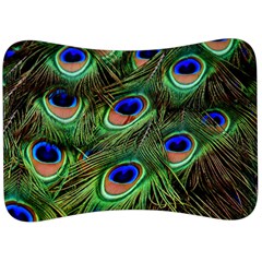 Peacock Feathers Plumage Iridescent Velour Seat Head Rest Cushion