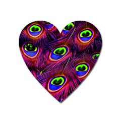 Peacock Feathers Color Plumage Heart Magnet by HermanTelo