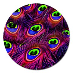 Peacock Feathers Color Plumage Magnet 5  (round) by HermanTelo