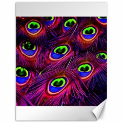 Peacock Feathers Color Plumage Canvas 12  X 16  by HermanTelo