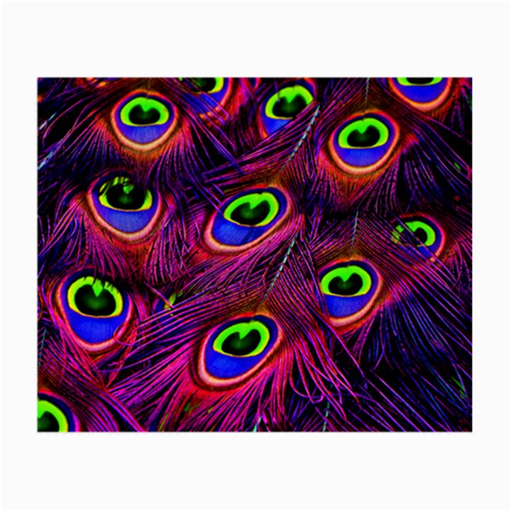 Peacock Feathers Color Plumage Small Glasses Cloth (2 Sides)