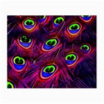 Peacock Feathers Color Plumage Small Glasses Cloth (2 Sides) Back