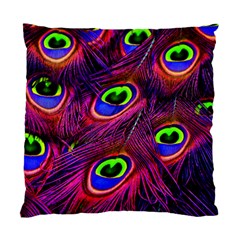 Peacock Feathers Color Plumage Standard Cushion Case (one Side)