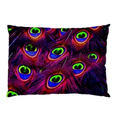 Peacock Feathers Color Plumage Pillow Case (two Sides) by HermanTelo