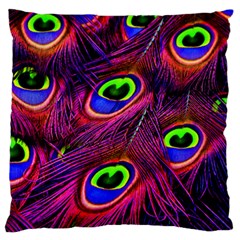 Peacock Feathers Color Plumage Large Cushion Case (one Side)