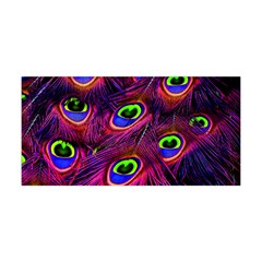 Peacock Feathers Color Plumage Yoga Headband