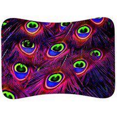 Peacock Feathers Color Plumage Velour Seat Head Rest Cushion