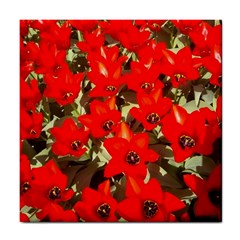 Columbus Commons Red Tulips Tile Coasters by Riverwoman