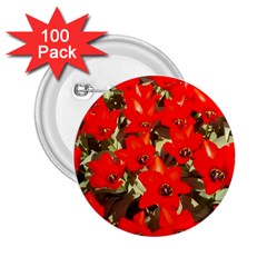 Columbus Commons Red Tulips 2 25  Buttons (100 Pack)  by Riverwoman