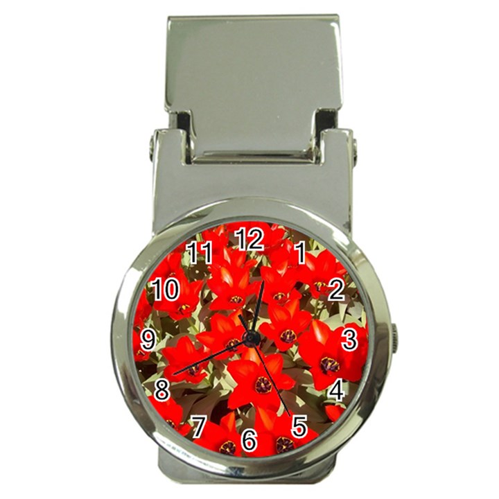 Columbus Commons Red Tulips Money Clip Watches