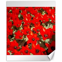 Columbus Commons Red Tulips Canvas 16  X 20  by Riverwoman