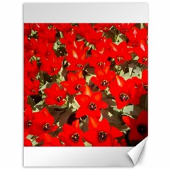 Columbus Commons Red Tulips Canvas 36  X 48  by Riverwoman