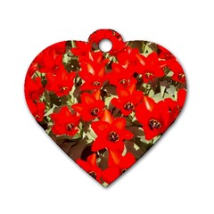 Columbus Commons Red Tulips Dog Tag Heart (two Sides)