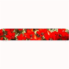 Columbus Commons Red Tulips Small Bar Mats by Riverwoman