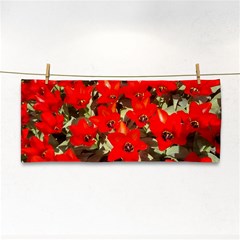 Columbus Commons Red Tulips Hand Towel by Riverwoman