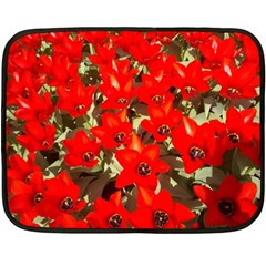 Columbus Commons Red Tulips Double Sided Fleece Blanket (mini)  by Riverwoman