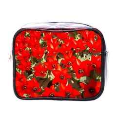 Columbus Commons Red Tulips Mini Toiletries Bag (one Side)