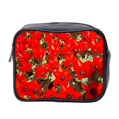 Columbus Commons Red Tulips Mini Toiletries Bag (two Sides) by Riverwoman