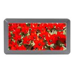 Columbus Commons Red Tulips Memory Card Reader (mini) by Riverwoman