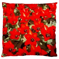 Columbus Commons Red Tulips Large Cushion Case (one Side) by Riverwoman