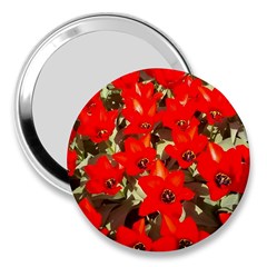 Columbus Commons Red Tulips 3  Handbag Mirrors by Riverwoman