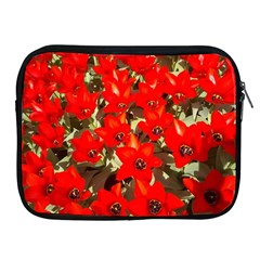 Columbus Commons Red Tulips Apple Ipad 2/3/4 Zipper Cases by Riverwoman