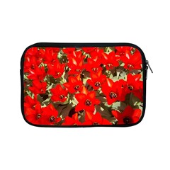 Columbus Commons Red Tulips Apple Ipad Mini Zipper Cases by Riverwoman