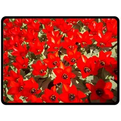 Columbus Commons Red Tulips Double Sided Fleece Blanket (large)  by Riverwoman