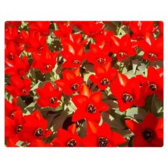 Columbus Commons Red Tulips Double Sided Flano Blanket (medium)  by Riverwoman