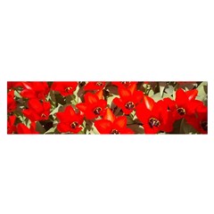 Columbus Commons Red Tulips Satin Scarf (oblong)