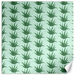 Aloe Plants Pattern Scrapbook Canvas 12  X 12  by Bajindul