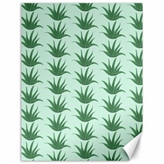 Aloe Plants Pattern Scrapbook Canvas 12  X 16  by Bajindul