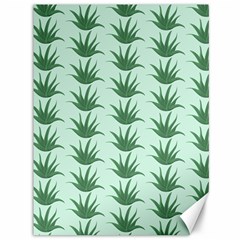 Aloe Plants Pattern Scrapbook Canvas 36  X 48  by Bajindul