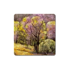 Outdoor Nature Natural Woods Square Magnet by Pakrebo