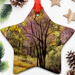 Outdoor Nature Natural Woods Star Ornament (two Sides) by Pakrebo