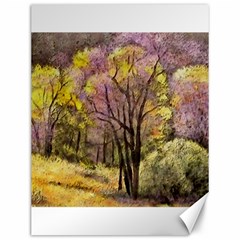 Outdoor Nature Natural Woods Canvas 12  X 16  by Pakrebo