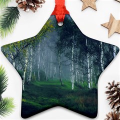 Birch Forest Nature Landscape Ornament (star) by Pakrebo