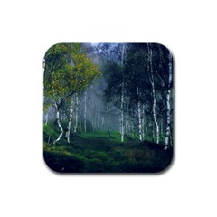 Birch Forest Nature Landscape Rubber Square Coaster (4 Pack)  by Pakrebo