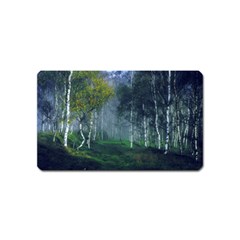 Birch Forest Nature Landscape Magnet (name Card) by Pakrebo