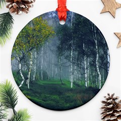 Birch Forest Nature Landscape Round Ornament (two Sides) by Pakrebo