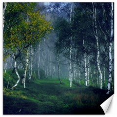 Birch Forest Nature Landscape Canvas 12  X 12  by Pakrebo