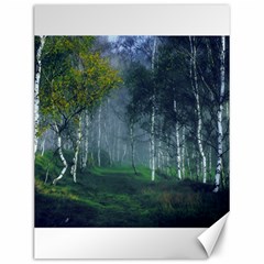 Birch Forest Nature Landscape Canvas 12  X 16  by Pakrebo