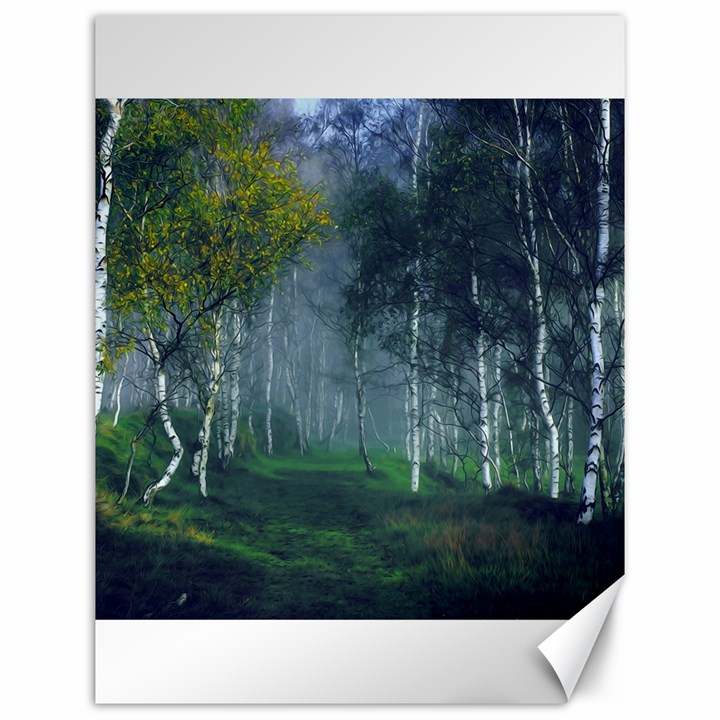 Birch Forest Nature Landscape Canvas 12  x 16 